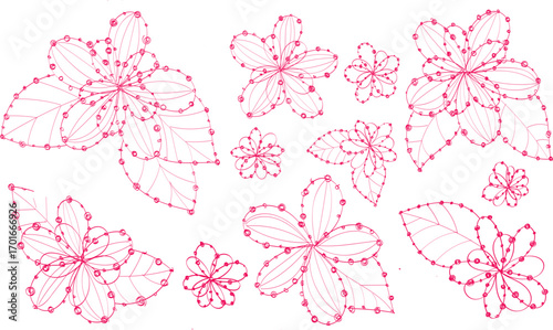 Hand drawn ink line flowers with dot pink color elements on white. Vector set icon tender, gently, girly isolated on white