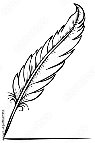 Detailed black and white drawing of a feather, suitable for illustration or design.