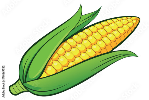Vector illustration of fresh organic corn cob with green husk, isolated on white background, healthy farm vegetable, eco-friendly food, sustainable agriculture and natural nutrition concept.