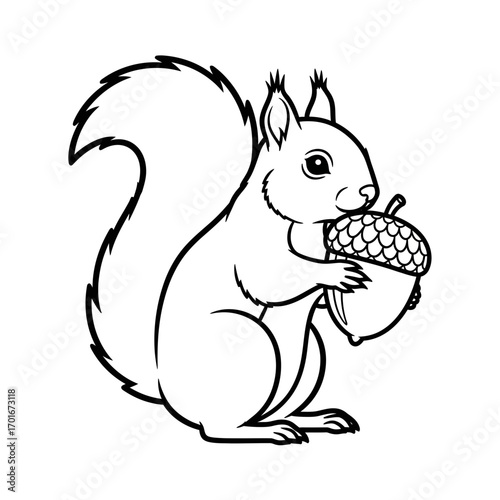 Squirrel holding an acorn outlined in black and white illustration.