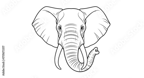 Elephant head illustration with tusks and large ears on a white background.