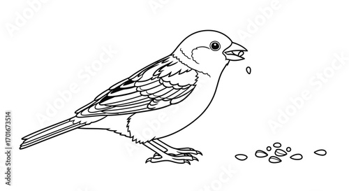 Line drawing of a bird eating seeds on the ground.