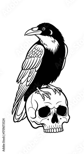 Black and white drawing of a raven perched on top of a skull.