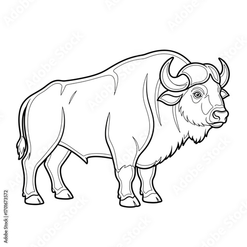 Line drawing of a bison standing isolated on a white background.