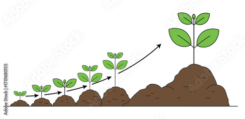 Plant growth stages from seed to sprout isolated on white background flat icon