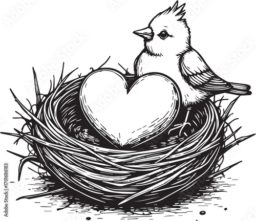 Nestling Hearts: A detailed sketch captures a bird in a nest, cradling a heart-shaped symbol. A tender illustration expressing concepts of love, care, and protection.