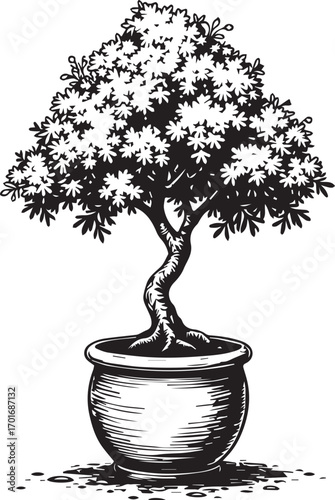 Bonsai Tree in Pot: A stylized illustration of a meticulously pruned bonsai tree in a decorative pot, embodying tranquility and the art of miniature gardening.