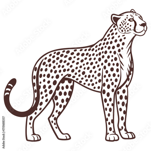 Vector art of cheetah illustration, , showcasing its spotted coat and elegant posture
