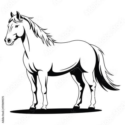 horse vector illustration