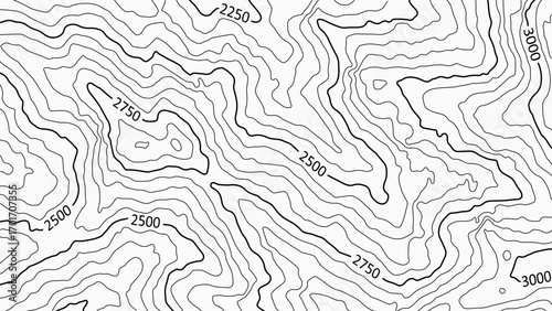 Topographic map with labels. Geographic mountain relief. Abstract lines background. Contour maps. Vector illustration.