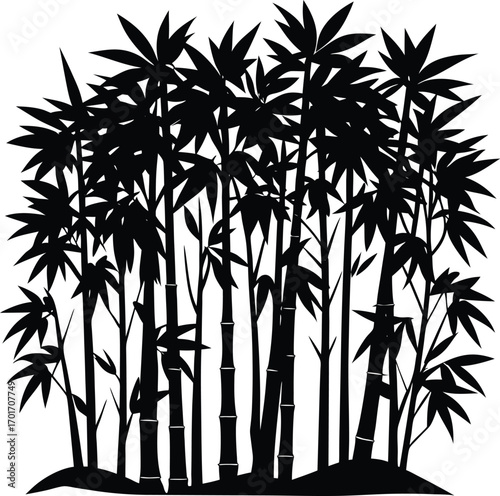 Silhouette of a Dense Bamboo Grove on white background