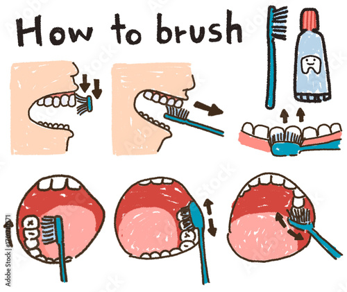 Steps of how to brush your teeth infographic diagram human mouth tooth surface clean inside gum forth motion using toothpaste vector illustration drawing for medical dental clinic education poster