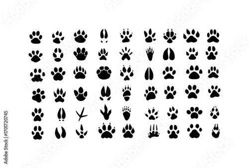 Diverse Collection of Animal Paw and Footprint Silhouettes