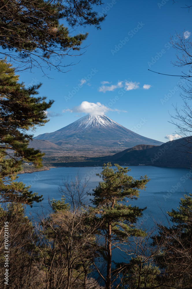 Fototapeta premium 精進湖から望む富士山