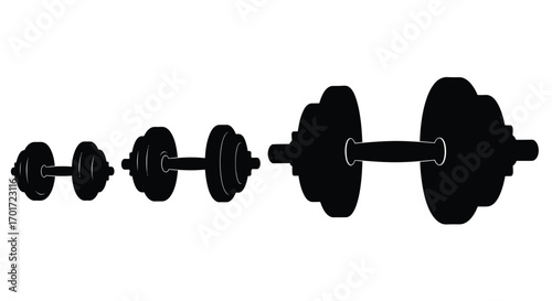 A progressive set of black dumbbells lined up in increasing size ready for a workout vector