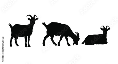 Three silhouette goats grazing standing and resting farm animals isolated on white vector