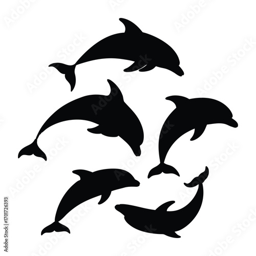 A set of black silhouette dolphins separated isolated vector art on white