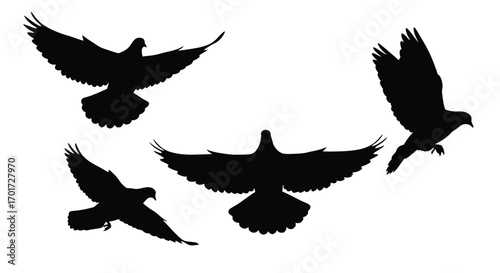 Dynamic silhouettes of four birds in flight capturing freedom and movement vector