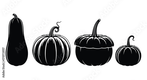 Four silhouettes of autumn gourds and pumpkins in a row for harvest and thanksgiving decorations vector