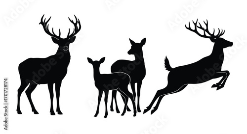 Majestic deer silhouette collection diverse poses forest wildlife nature animals vector