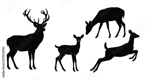 Majestic stag and graceful deer silhouettes in various poses wildlife collection vector