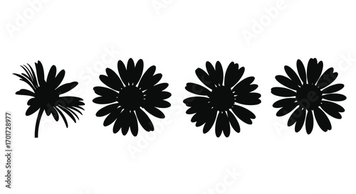 Four delicate black silhouettes of wildflowers captured in a row vector
