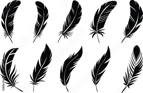 Elegant black feather silhouettes arranged on a white background for artistic design elements 
