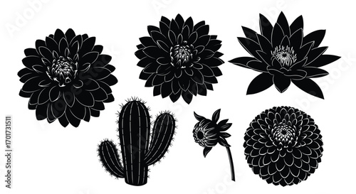 Collection of detailed black botanical silhouettes featuring cacti and flowers for artistic design vector