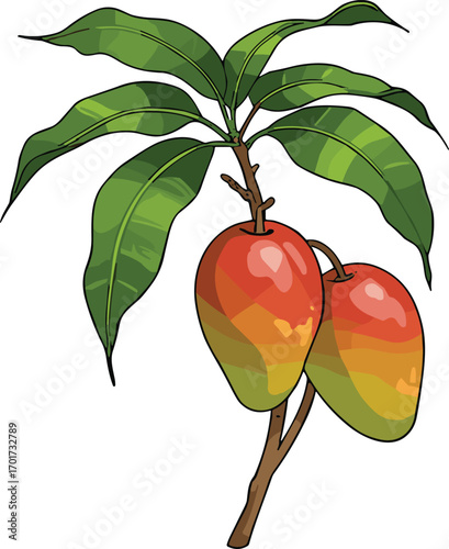 Colorful ripe mango fruit illustration, tropical red and yellow mangoes on branch with lush green leaves, exotic summer fruit design, food clipart