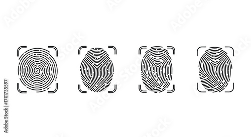 Four distinct fingerprint icons for security and identification concepts vector
