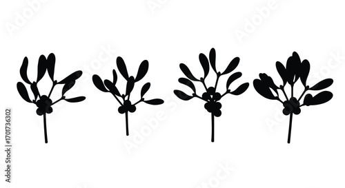 Four delicate stylized black plant stems with seed pods and leaves isolated vector