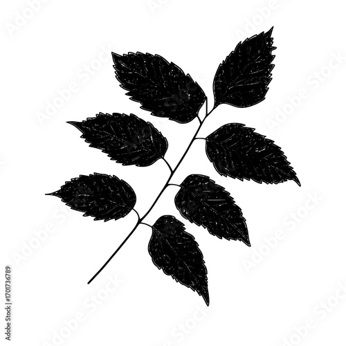 Fall season plants, including acacia trees, are represented by a modern icon of a branch with autumn leaves and a single leaf on a twig, displaying the characteristic red foliage