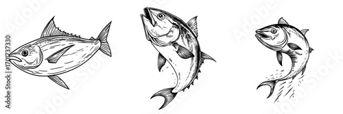 A sketch of an isolated Atlantic bluefin tuna, a modern saltwater animal also known as the Atlantic bluefin tunny