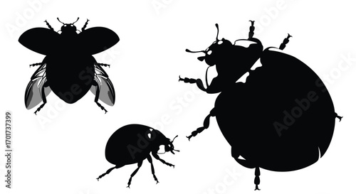 Silhouetted insects featuring ladybug bee and small beetle for natural science concepts vector