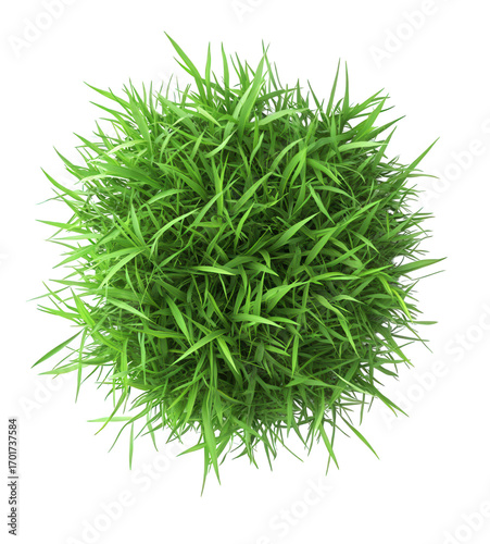 A lush green ball of grass isolated on transparent background