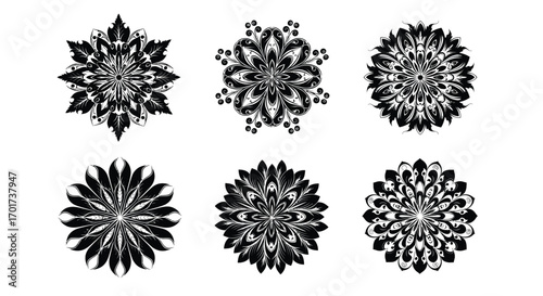 Six intricate black snowflake ornaments for decorative winter holiday design elements vector