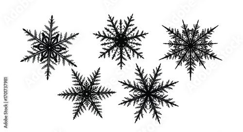 Five detailed black snowflakes isolated on a white surface for winter seasonal design vector