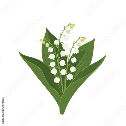 A delicate bouquet of white lily of the valley flowers surrounded by lush green leaves