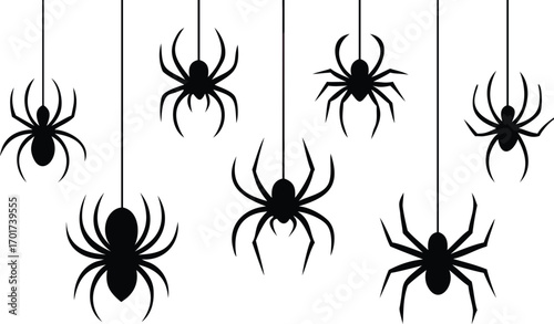 Black Silhouette Spiders Hanging on White Background 
