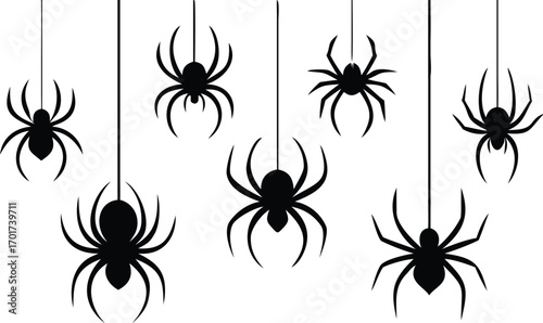 Black Silhouette Spiders Hanging on White Background 
