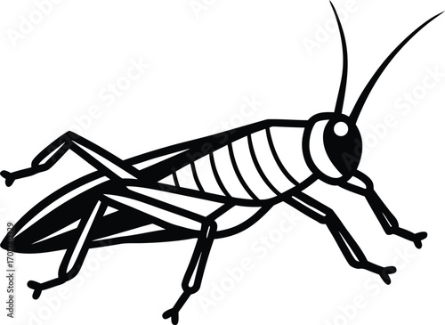 vector illustration of a wasp