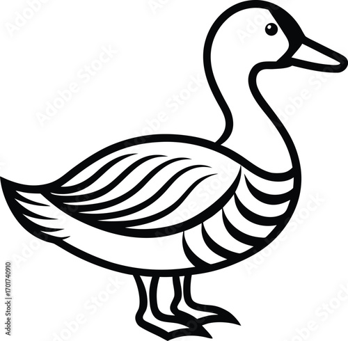 vector illustration of a duck