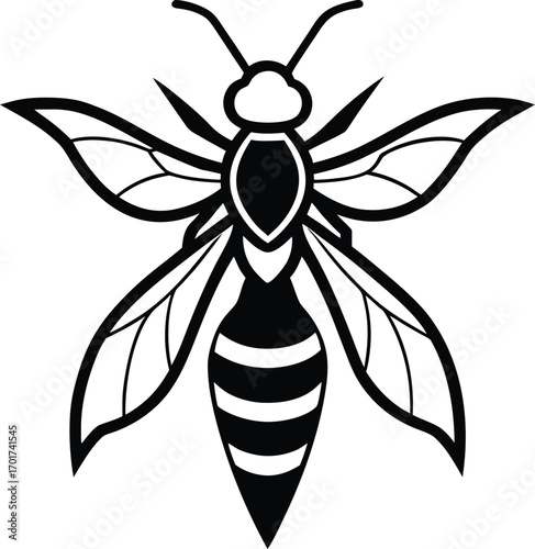 bee vector illustration