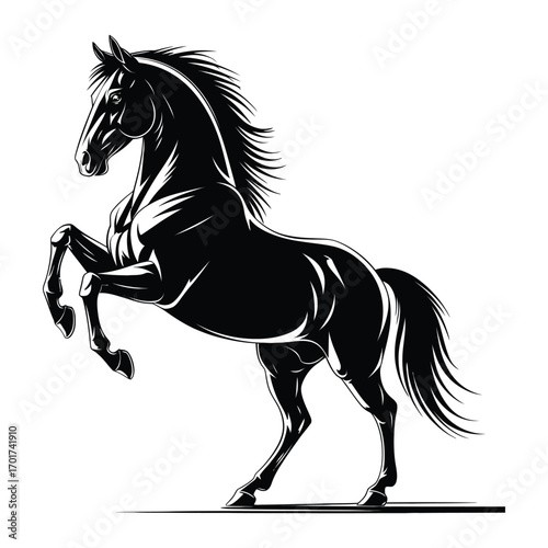 horse silhouette vector