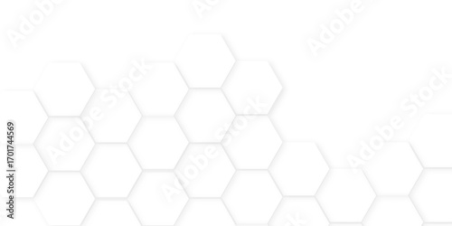 Abstract background with hexagon, modern abstract vector polygonal pattern. Futuristic honeycomb mosaic white background,white and gray hexagon honeycomb geometric copy space.