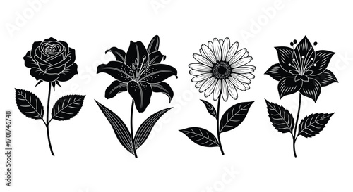 Artistic floral set hand drawn botanical elements vintage flower designs for creative projects vector