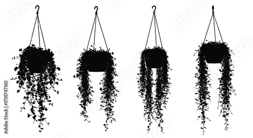Four black silhouette hanging potted plants with cascading foliage isolated on vector