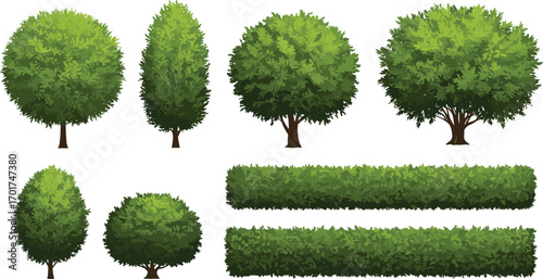 Tree, hedge, bush, garden plant, landscape element, park greenery, foliage, nature icon, arbor design, outdoor vegetation, cad drawing flat vector illustration