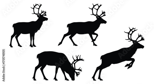 Five silhouette reindeer poses static and dynamic winter holiday animals in motion vector