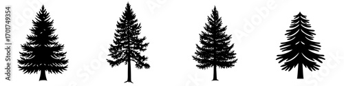 Evergreen Silhouette: A simple yet powerful silhouette of a tall evergreen tree, symbolizing strength, resilience, and the enduring beauty of nature